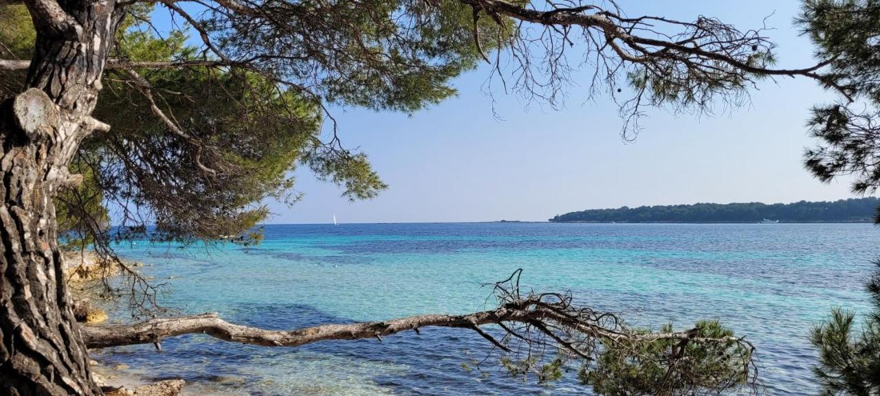 Les Grenadines Du Samedi Au Samedi Appartement Antibes Buitenkant foto